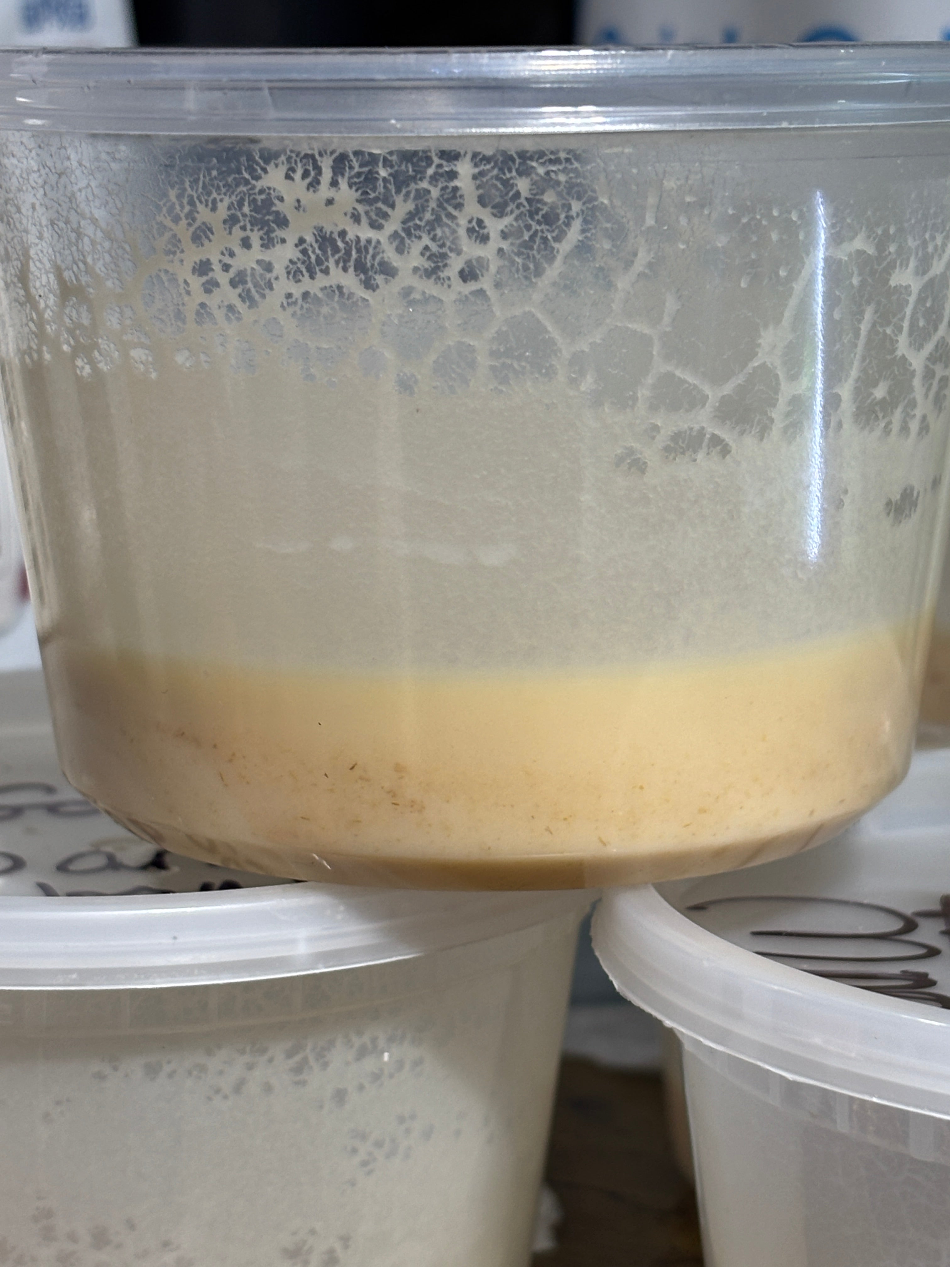 What’s Bubbling at Mama T’s Aquatics