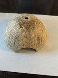 Coconut Half Shell